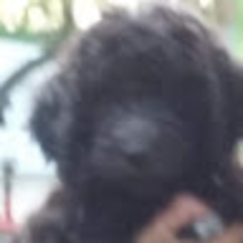 Meet your Posher, Eli